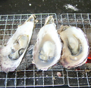 牡蠣 能登かき殻付き・加熱用・一斗缶［約80～100個］ | 魚介類 訳あり 生活応援価格 ご家庭用 石川県 七尾市 復興支援