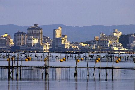 牡蠣 能登かき殻付き・加熱用・一斗缶［約80～100個］ | 魚介類 訳あり 生活応援価格 ご家庭用 石川県 七尾市 復興支援