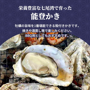石川県七尾産 能登かき 殻付き（約25個） | 牡蠣 魚介類 訳あり 生活応援価格 ご家庭用 ※2025年12月上旬～2026年5月下旬頃に順次発送予定
