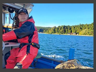 石川県七尾産　能登かき　殻付き　半缶（40～50個） 加熱調理用  | 牡蠣 魚介類 訳あり 生活応援価格 ご家庭用 ※2026年1月上旬～5月下旬頃に順次発送予定