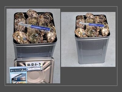 石川県七尾産　能登かき　殻付き　1斗缶（80～100個） 加熱調理用  | 牡蠣 魚介類 訳あり 生活応援価格 ご家庭用 ※2026年1月上旬～5月下旬頃に順次発送予定