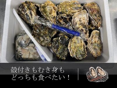 石川県七尾産　能登かき むき身 殻付き セット（むき身400g・殻付約20個） 加熱調理用  | 牡蠣 魚介類 訳あり 生活応援価格 ご家庭用 ※2026年1月上旬～5月下旬頃に順次発送予定
