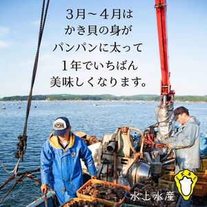 【能登半島地震復興支援】【発送時期が選べる】水上水産の能登のかき 半缶ガンガン焼き（約35～40個・ナイフ付） | 牡蠣 魚介類 訳あり 生活応援価格 ご家庭用 石川県 七尾市 ※2025年12月中旬～2026年4月下旬頃に順次発送予定