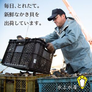 【能登半島地震復興支援】【発送時期が選べる】水上水産の能登のかき 半缶ガンガン焼き（約35～40個・ナイフ付） | 牡蠣 魚介類 訳あり 生活応援価格 ご家庭用 石川県 七尾市 ※2025年12月中旬～2026年4月下旬頃に順次発送予定