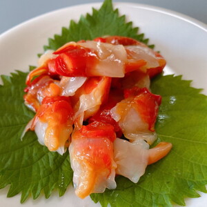 魚介類 /あかにし貝（コナガニシ）100ｇ ※着日指定不可