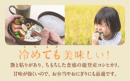令和7年産 コシヒカリ 能登米 (5kg×2袋) | こめ 国産 訳あり 生活応援価格 ご家庭用 石川県 七尾市 ※2025年12月中旬頃より順次発送予定