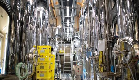 【能登島醸造所仕込み】金澤麦酒 Virgin Ale 24本入