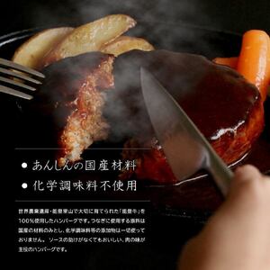 石川県産 能登牛100%グリルドハンバーグ 140gx4個 ※2025年1月以降に順次発送予定