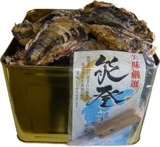 石川県七尾産 能登かき 殻付き 半缶（約40個） | 牡蠣 魚介類 訳あり 生活応援価格 ご家庭用 復興支援 ※2025年12月上旬～2026年5月下旬頃に順次発送予定