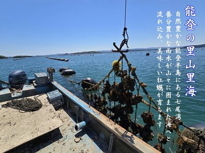 【発送時期が選べる】盛ちゃん(湯田水産) 能登牡蠣 殻付き 一斗缶(70個前後) 約11kg 加熱用 | かき 魚介類 訳あり 生活応援価格 ご家庭用 石川県 七尾市 復興支援 ※2026年1月上旬~3月下旬頃に順次発送予定