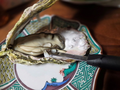 【発送時期が選べる】盛ちゃん(湯田水産) 能登牡蠣 殻付き 半缶(35個前後) 約5.5kg 加熱用 | かき 魚介類 訳あり 生活応援価格 ご家庭用 石川県 七尾市 復興支援 ※2026年1月上旬~3月下旬頃に順次発送予定