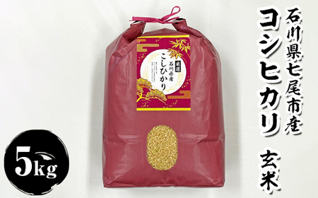 石川県七尾市産　コシヒカリ　玄米　5Kg  | こめ 訳あり 生活応援価格 ご家庭用 石川県 七尾 ※2025年11月上旬～2026年3月下旬頃に順次発送予定