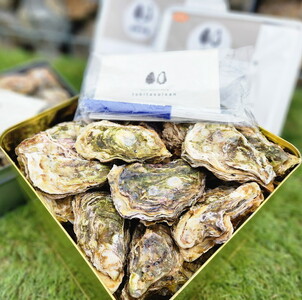 飛田水産　石川県七尾産　能登かき　殻付き一斗缶 |  牡蠣 魚介類 訳あり 生活応援価格 ご家庭用 石川県 七尾市 復興支援  ※要加熱 ※2026年1月上旬～5月下旬頃に順次発送予定