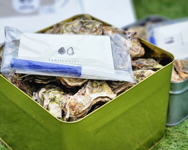 飛田水産 石川県七尾産 能登かき 殻付き半缶 | 牡蠣 魚介類 訳あり 生活応援価格 ご家庭用 復興支援 ※要加熱 ※2026年1月上旬~5月下旬頃に順次発送予定