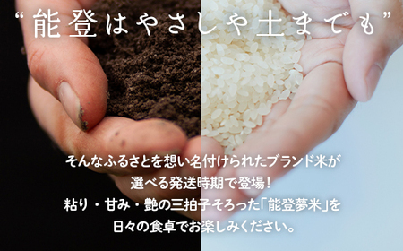 【発送時期が選べる】【新米】令和7年度産米 能登産 にじのきらめき 能登夢米 精米 10kg（5kg×2袋） | こめ 国産 訳あり 生活応援価格 ご家庭用 石川県 七尾市 ※2025年10月中旬～2026年1月中旬頃に順次発送予定