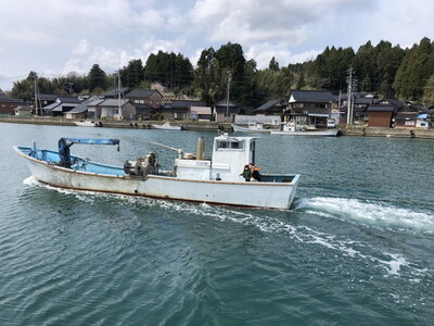 沢田水産　能登かき　むき身　1kg（箱入り）　加熱調理用　※北海道・沖縄・離島への配送不可　※2026年1月下旬～5月中旬頃に順次発送予定