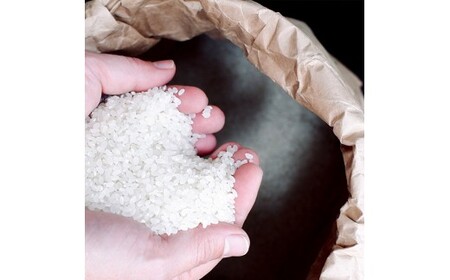 能登島のふるさと米 コシヒカリ2kg 精米  | こめ 国産 訳あり 生活応援価格 ご家庭用 石川県 七尾市 ※2026年1月上旬～7月中旬頃に順次発送予定