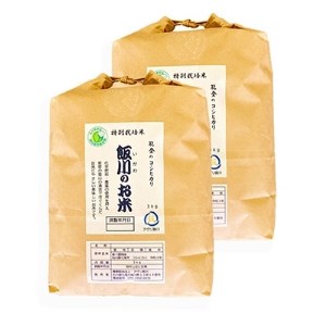 【令和6年産】能登のコシヒカリ　飯川のお米　6kg(精米3kg×2袋)【1086151】