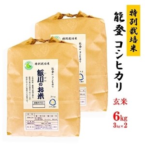 【令和4年産】能登のコシヒカリ 飯川のお米 6kg(玄米3kg×2袋)【1086152】