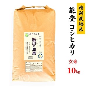【令和4年産】能登のコシヒカリ 飯川のお米 10kg(玄米10kg×1袋)【1086156】