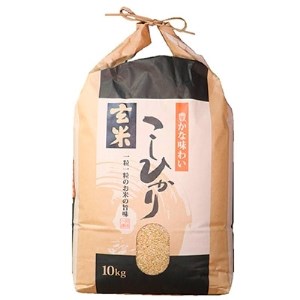令和4年産 石川県能登産こしひかり 玄米10kg(10kg×1袋)【1051048】