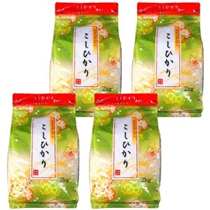 令和4年産 石川県能登産こしひかり 精米8kg(2kg×4袋)【1051050】