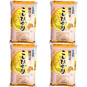 令和4年産 石川県能登産こしひかり 精米20kg(5kg×4袋)【1051052】