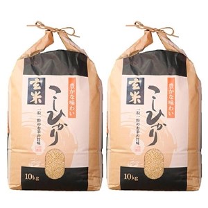 令和4年産 石川県能登産こしひかり 玄米20kg(10kg×2袋)【1051049】