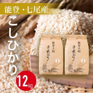 令和4年産】石川県七尾産コシヒカリ 「能登の国」玄米12kg(6kg×2袋