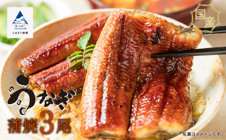 国産うなぎ蒲焼3尾