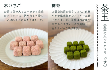 クッキ－缶 茶玉缶(ちゃだまかん) 010199 クッキー 洋菓子