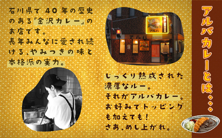 《金沢カレー》カレーの市民アルバ 600g×5袋 アルバ 金沢