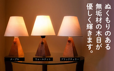 ソリッドランプ 照明 ライト 家具 インテリア 照明