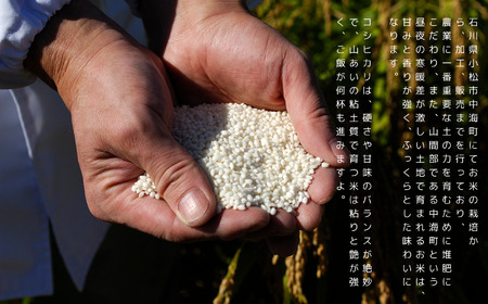 特栽コシヒカリ玄米10㎏(5㎏×2袋)精米したて白米発送 こしひかり
