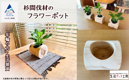 「年輪の力」生活雑貨 杉間伐材のフラワーポット 花瓶