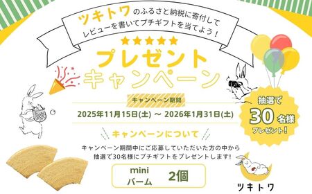 全国バウムクーヘン総選挙1位獲得！能登塩ぶるべりばぁむ180g×1個（約4.5号：直径13cm）【スイーツ お菓子 お土産 バームクーヘン バウムクーヘン 手土産 おやつ デザート お取り寄せグルメ 人気 送料無料 セット おすすめ ギフト 米粉 ツキトワ】