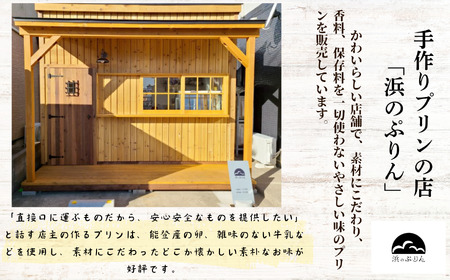 浜のぷりん６個セット プリン