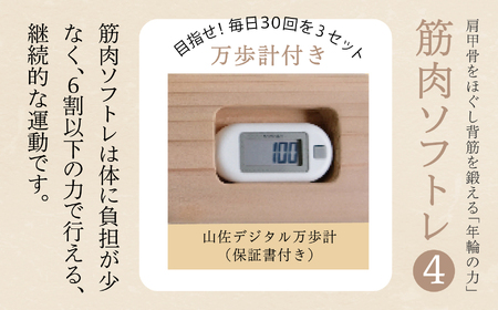 肩甲骨をほぐし背筋を鍛える「年輪の力」筋肉ソフトレ4 筋トレ