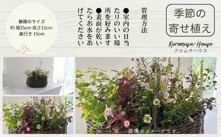 季節の寄せ植え《籐籠》花 