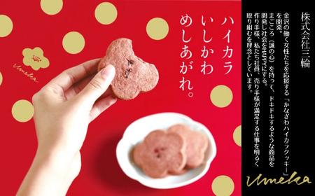 かなざわハイカラクッキー アソート４箱セット クッキー
