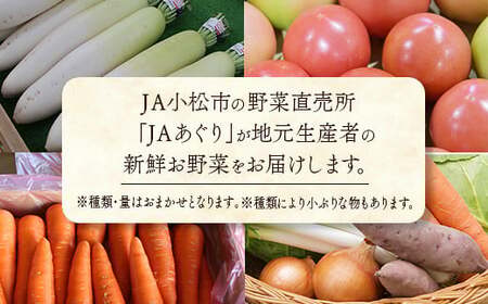 《野菜 定期便 12ヵ月 JA小松市（毎月）》季節 野菜 詰合せ 定期便 詰合せ  石川県 小松市 北陸 石川県 北陸
