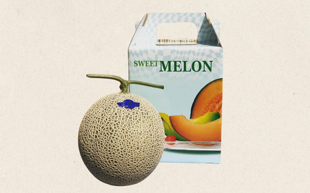 【先行予約】アールスメロン 1玉（1.7kg以上）化粧箱入り 令和8年8月上旬より順次発送 先行予約 マスクメロン