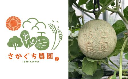 【先行予約】アールスメロン 1玉（1.7kg以上）化粧箱入り 令和8年8月上旬より順次発送 先行予約 マスクメロン