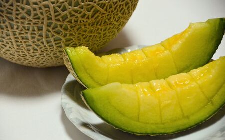 【先行予約】感謝の気持ちを込めたサプライズメロン《数量限定》 アールスメロン（「ありがとう」の文字入り）１玉1.5㎏以上 化粧箱入り 令和8年8月上旬より順次発送 マスクメロン