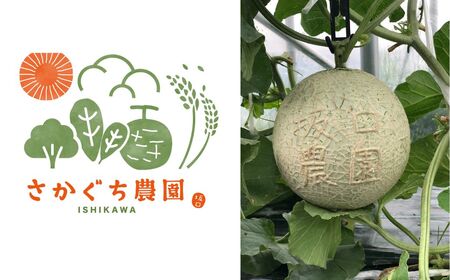 【先行予約】感謝の気持ちを込めたサプライズメロン《数量限定》 アールスメロン（「ありがとう」の文字入り）１玉1.5㎏以上 化粧箱入り 令和8年8月上旬より順次発送 マスクメロン