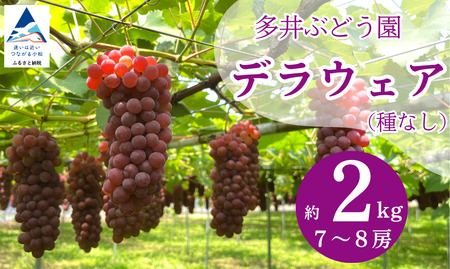 デラウェア 2026年先行予約 ぶどう （7房～8房）デラウェア