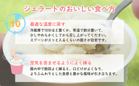 加賀の醤蔵 モチモチ豆大福ジェラート アイスクリーム ジェラート アイスクリーム