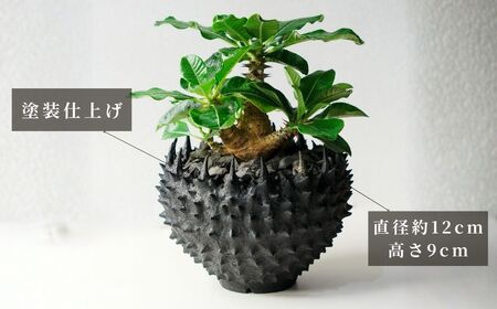 3Dプリンター鉢 maga#3 直径120mm｜3Dプリンタ 観葉植物 園芸 ガーデニング【POT】