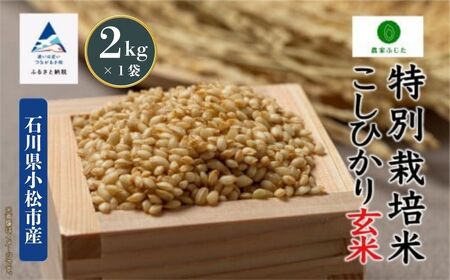 こしひかり 玄米 2kg 特別栽培米 令和7年産 こしひかり コシヒカリ 農家ふじた
