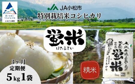 【先行予約】【定期便】 特別栽培米 コシヒカリ 5kg×3ヶ月（毎月） 蛍米 精米 特別栽培米【JA小松市】